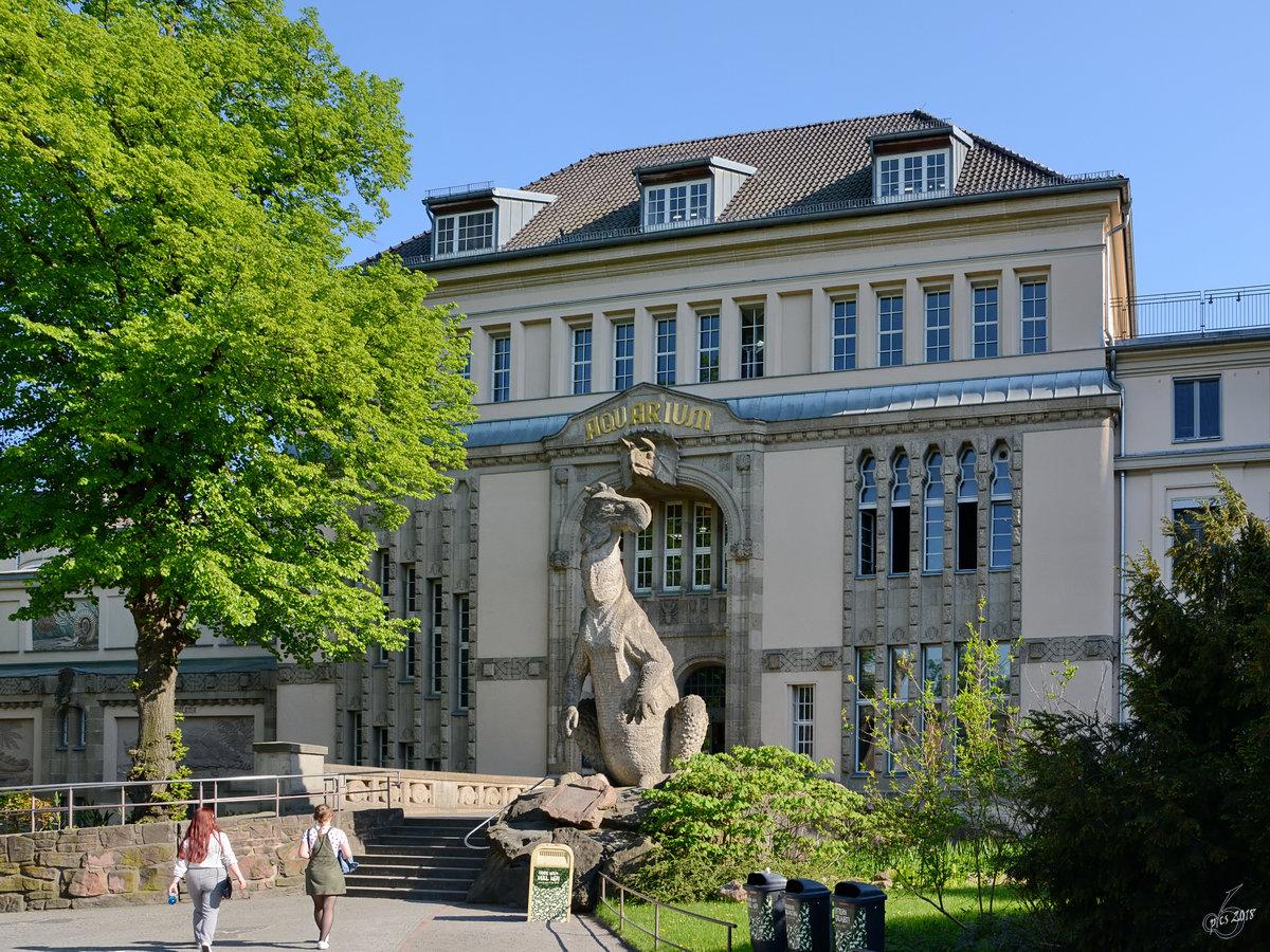 Der Eingang zum Aquarium Berlin mit der lebensgroen Nachbildung eines Dinosauriers (Iguanodon) aus der Kreidezeit. (April 2018)