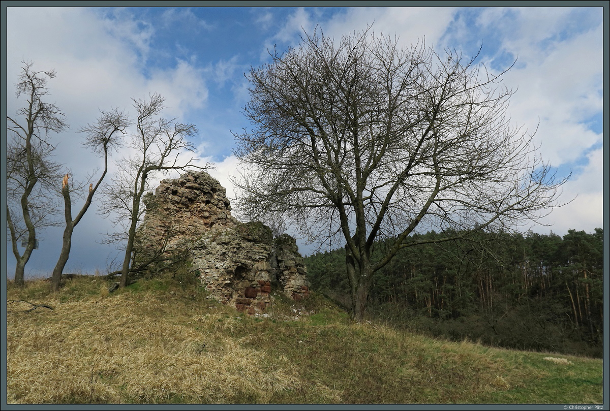 Der einzig sichtbare Rest der Wstung Bernecke bei Uftrungen ist die Ruine der Andreaskirche. Der zugehrige Ort wurde wahrscheinlich im 15. Jahrhundert verlassen. (01.04.2018)