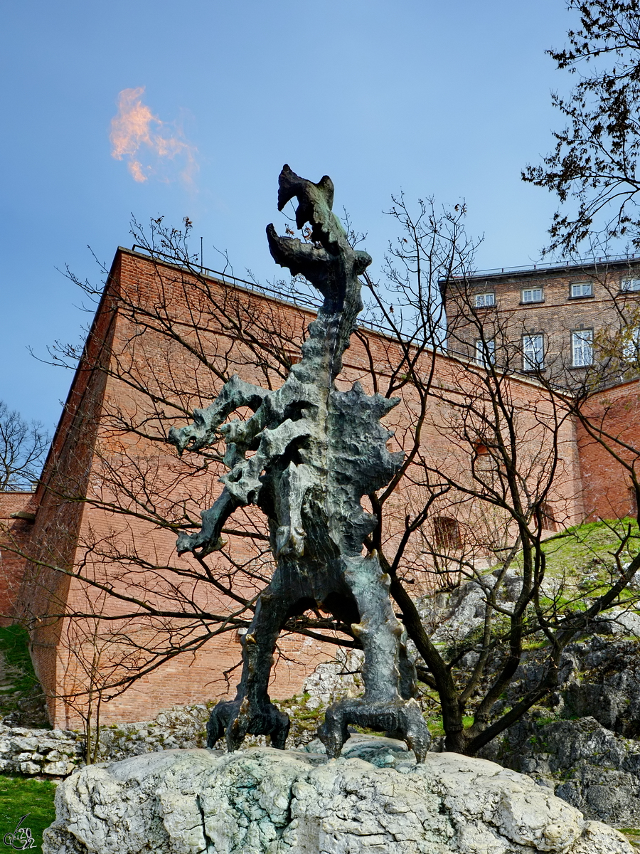 Der feuerspeiende Wawel-Drache ist Teil in der polnischen Volkssage und wurde 1970 in der Nhe der Burg aufgestellt. (Krakau, April 2014)