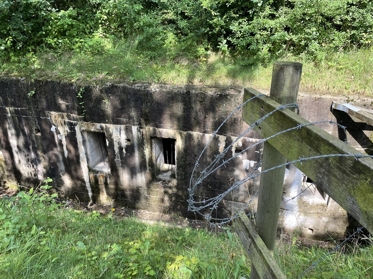 Der fnf mal 15 Meter lange Bunker Elfriede liegt inmitten des Feriendorfes und ist umgeben von Sommerhusern. Elfriede ist ein Teil Sicherungsstellung Nord in Nordschleswig. Sie wurde ab 1916 quer durch Nordschleswig von der Nordsee bis zur Ostsee angelegt, weil die deutsche Heeresfhrung einen britischen Angriff ber das neutrale Dnemark befrchtete. Mit der neuen Grenzziehung von 1920 kam das Gebiet an Dnemark.
Aufnahme: 9. August 2021.