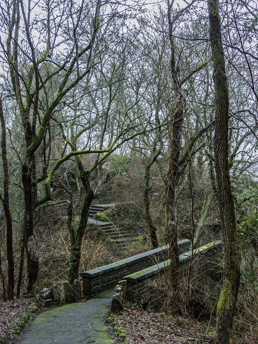 Der Gehweg direkt zur Burgruine Idar-Oberstein. Echt stimmig! (29.01.2013)