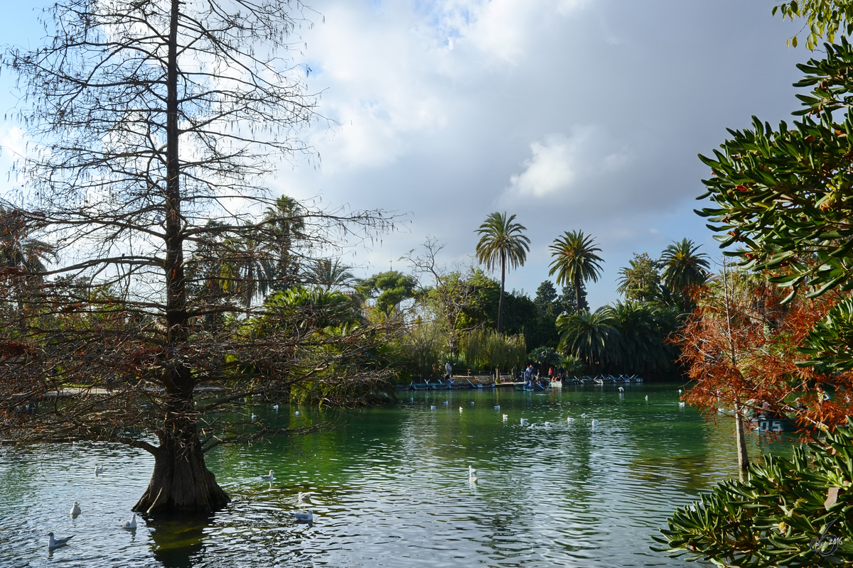 Der groe Teich im Parc de la Ciutadella. (Barcelona, Dezember 2011)