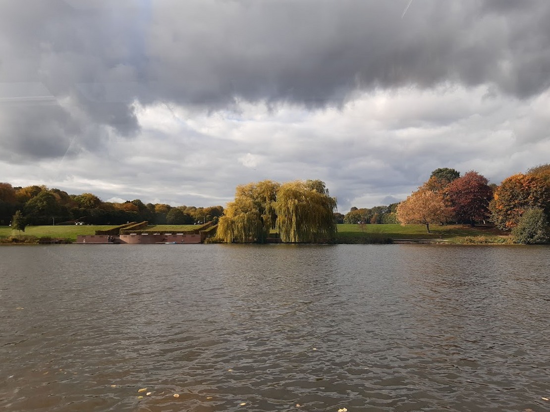 Der Hamburger Stadtpark am 28.10.22. Der Park im Ortsteil Winterhude ist mit knapp 150 Hektar die drittgrte Grnflche der Hansestadt.  Ein 35 Hektar groer Teil des heutigen Stadtparks war einst das private Jagdrevier des angesehenen Hamburger Geschftsmannes Adolpf Sierich. Dieses  Sierische Gehlz  wurde in 1901 von seinen Erben an die Stadt Hamburg verkauft und ein Jahr spter wurde mit den Umbaumanahmen zum Stadtpark begonnen. Dazu wurden weitere Grnflchen heranzogen. In 2014 feierte der Winterhuder Stadtpark zusammen mit dem Altonaer Volkspark und der Hamburger Grnverwaltung sein 100-jhriges Bestehen. Fr das Jubilumsjahr wurden fr rund 1,6 Millionen Euro diverse Blumenanlagen, Parkwege, Spielsttten und das Planetarium auf Vordermann gebracht und ausgebaut.  (Text: hamburg.de).