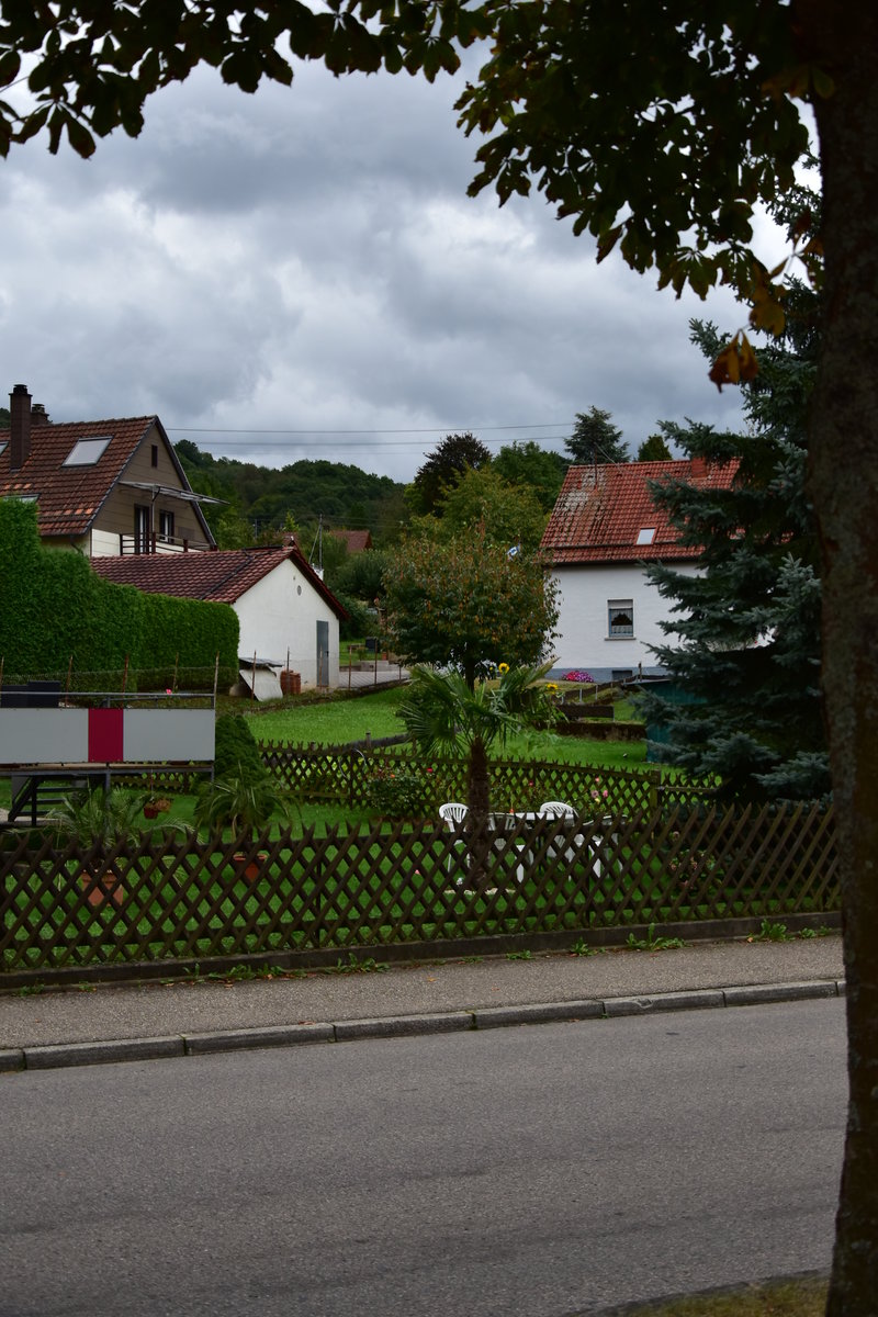 Der Klimawandel ist jetzt auch in Neckargerach angekommen. Hauptstrae in Neckargerach. 9.9.2017