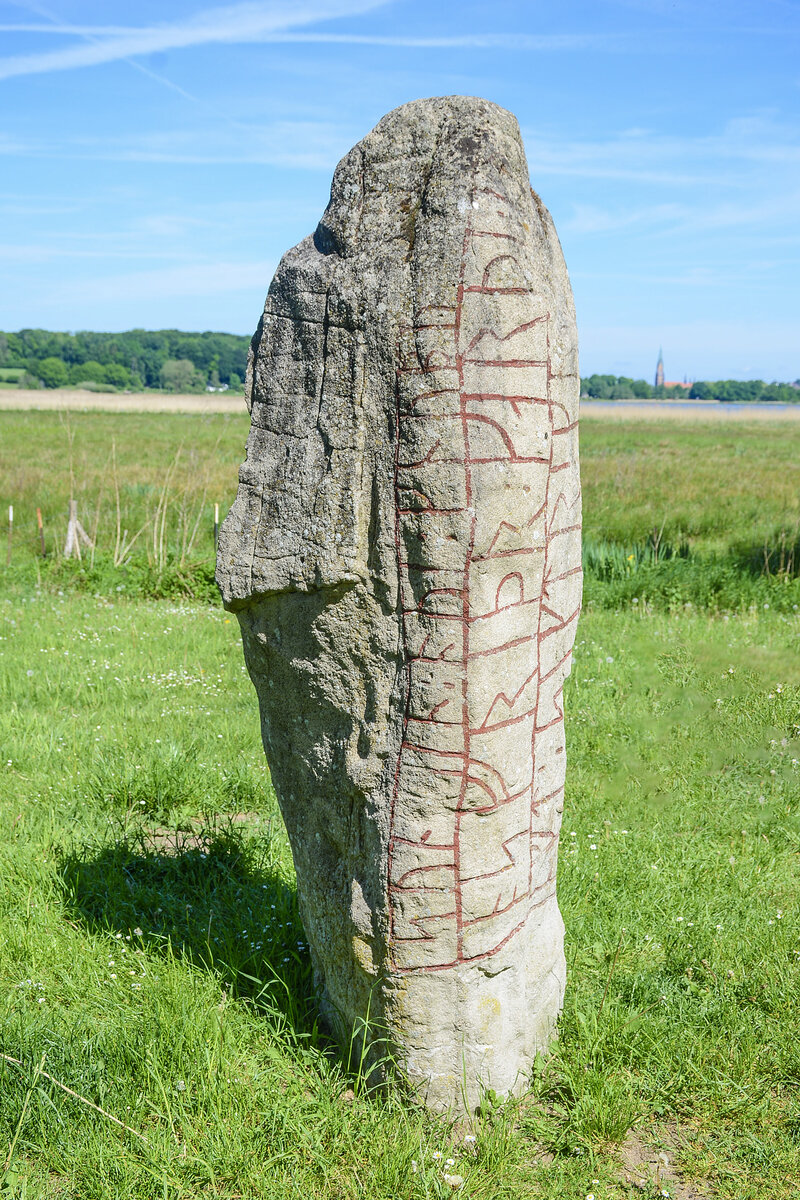 Der westlich des Haddebyer Noors stehende Runenstein ist eine Nachbildung des sogenannten „Gro�en Sigtryggsteins“ aus Haithabu. Das Original wurde 1797 an der alten Furt zwischen Haddebyer und Selker Noor entdeckt – direkt an einem historischen Weg aus Haithabu. Die Inschrift aus dem 10. Jahrhundert lautet sinngem��: „Asfrid errichtete dieses Denkmal f�r Sigtrygg, ihren und Knubas Sohn.“ Der Stein gilt als wichtiges Zeugnis der d�nisch-skandinavischen Herrschaftsgeschichte in Haithabu. Aufnahme: 24. Mai 2026.