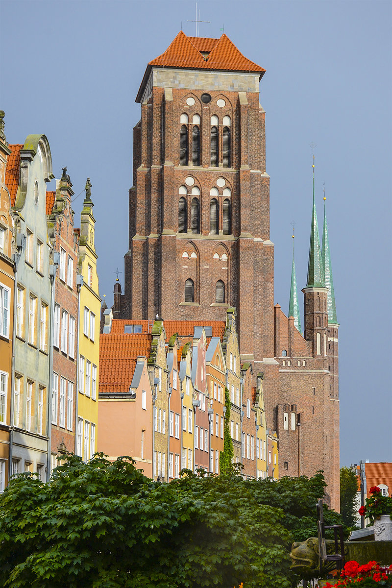 Der wuchtige Turm der Danziger Marienkirche. Mit 105 Meter Lnge und 66 Meter Breite ist die dicke Maria, wie man sie im Volksmund einst nannte, die grte Backsteinkirche der Welt. Aufnahme: 14. August 2019.