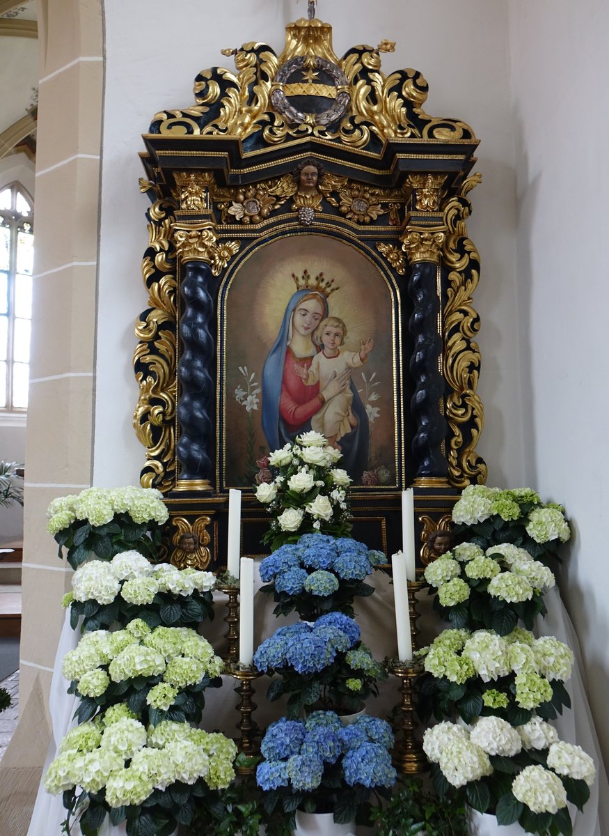 Dettensee, Marienaltar in der kath. St. Cyriakus Kirche (10.05.2018)