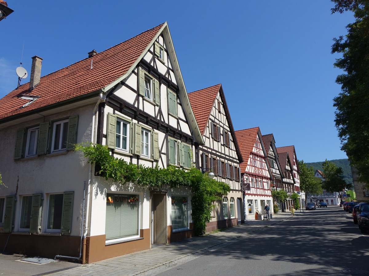 Dettingen an der Erms, Huserzeile in der Metzinger Strae (30.08.2015)