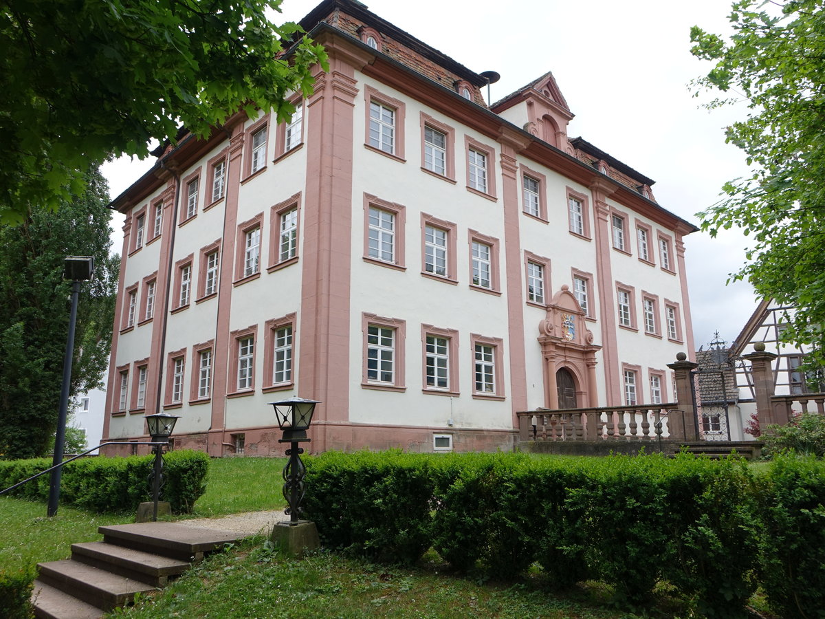 Dettingen bei Horb, Murischloss von 1746, Amtshaus des schweizer Kloster Muri (10.05.2018)