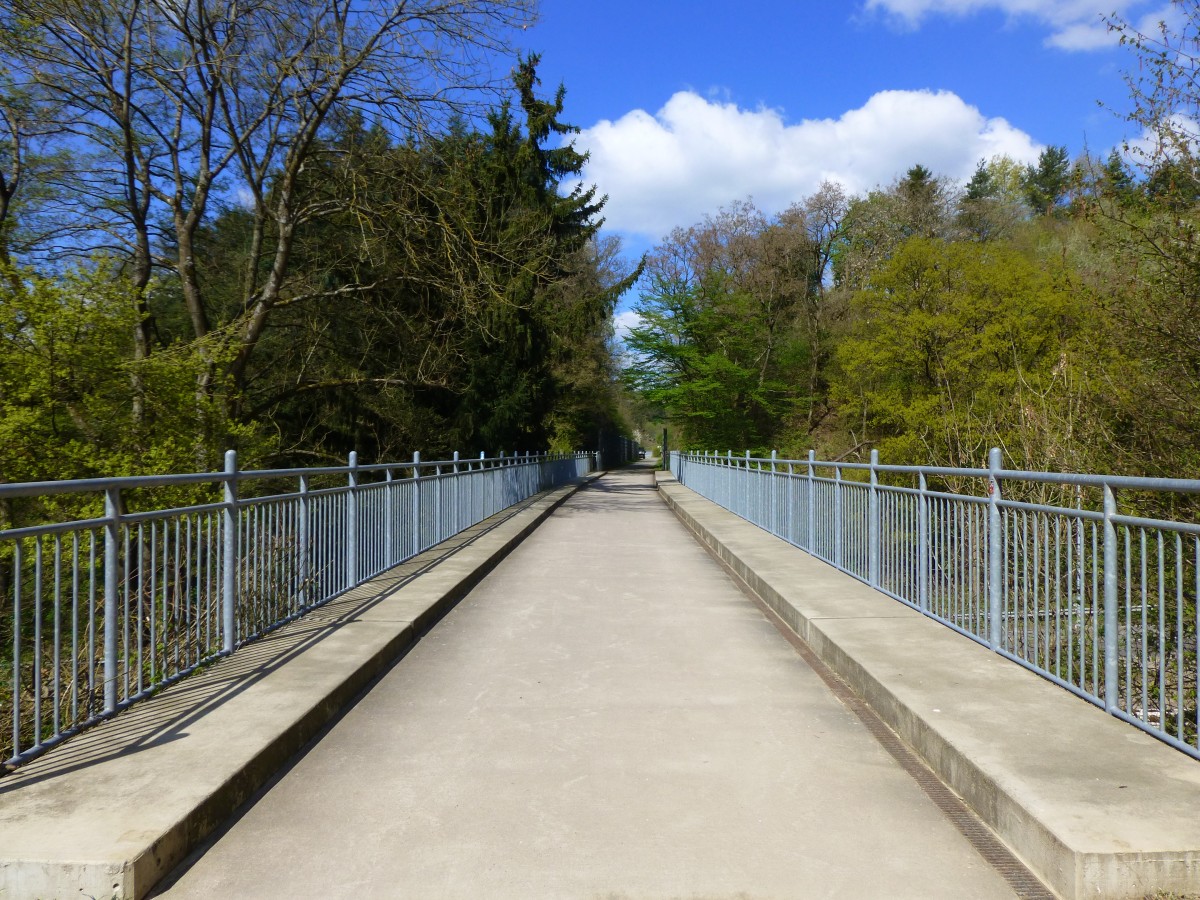 Deutschland, Rheinland-Pfalz, Brcke auf dem Fritz Wunderlich Radweg, bei Kusel im Landkreis Kusel. 16.04.2014
