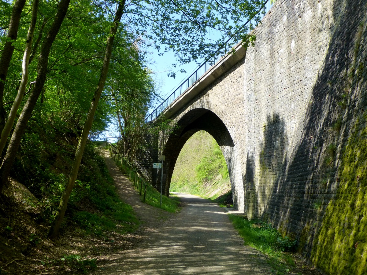 Deutschland, Rheinland-Pfalz, Brcke ber den Fritz Wunderlich Radweg, bei Ruthweiler im Landkreis Kusel. 16.04.2014