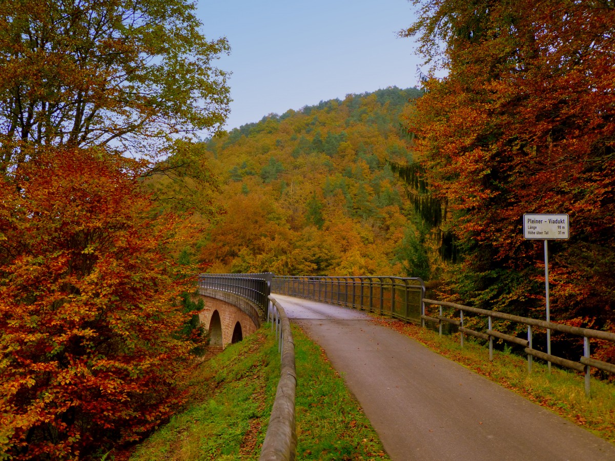 Deutschland, Rheinland-Pfalz, Eifel, Pleiner Viadukt im Herbst, Lnge 98 Meter, Hhe ber Tal 31 Meter auf dem Maare-Mosel-Radweg. Der MMR (58 km lang) verbindet Daun in der Vulkaneifel ber die ehemaligen Bahnnebenstrecken Daun-Wengerohr und Wengerohr–Bernkastel-Kues mit dem Moseltal. 31.10.2014 