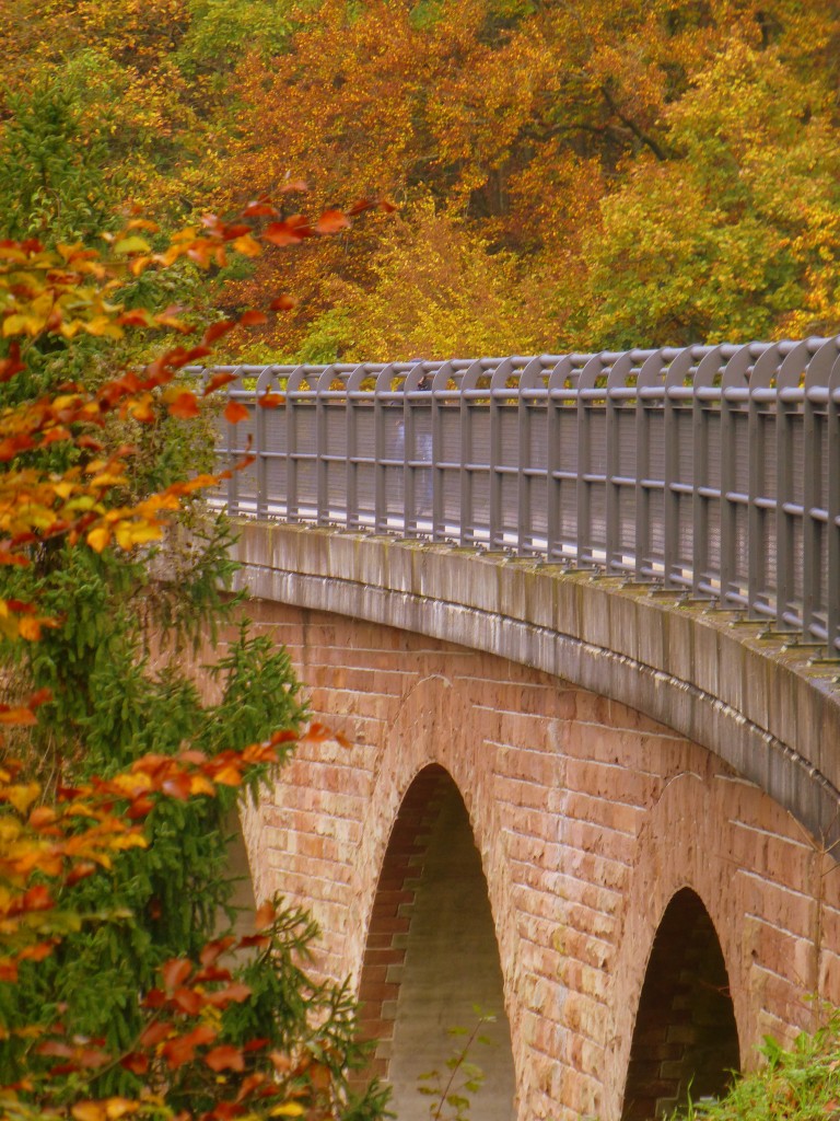 Deutschland, Rheinland-Pfalz, Eifel, Pleiner Viadukt im Herbst, Lnge 98 Meter, Hhe ber Tal 31 Meter auf dem Maare-Mosel-Radweg. Der MMR (58 km lang) verbindet Daun in der Vulkaneifel ber die ehemaligen Bahnnebenstrecken Daun-Wengerohr und Wengerohr–Bernkastel-Kues mit dem Moseltal. 31.10.2014 