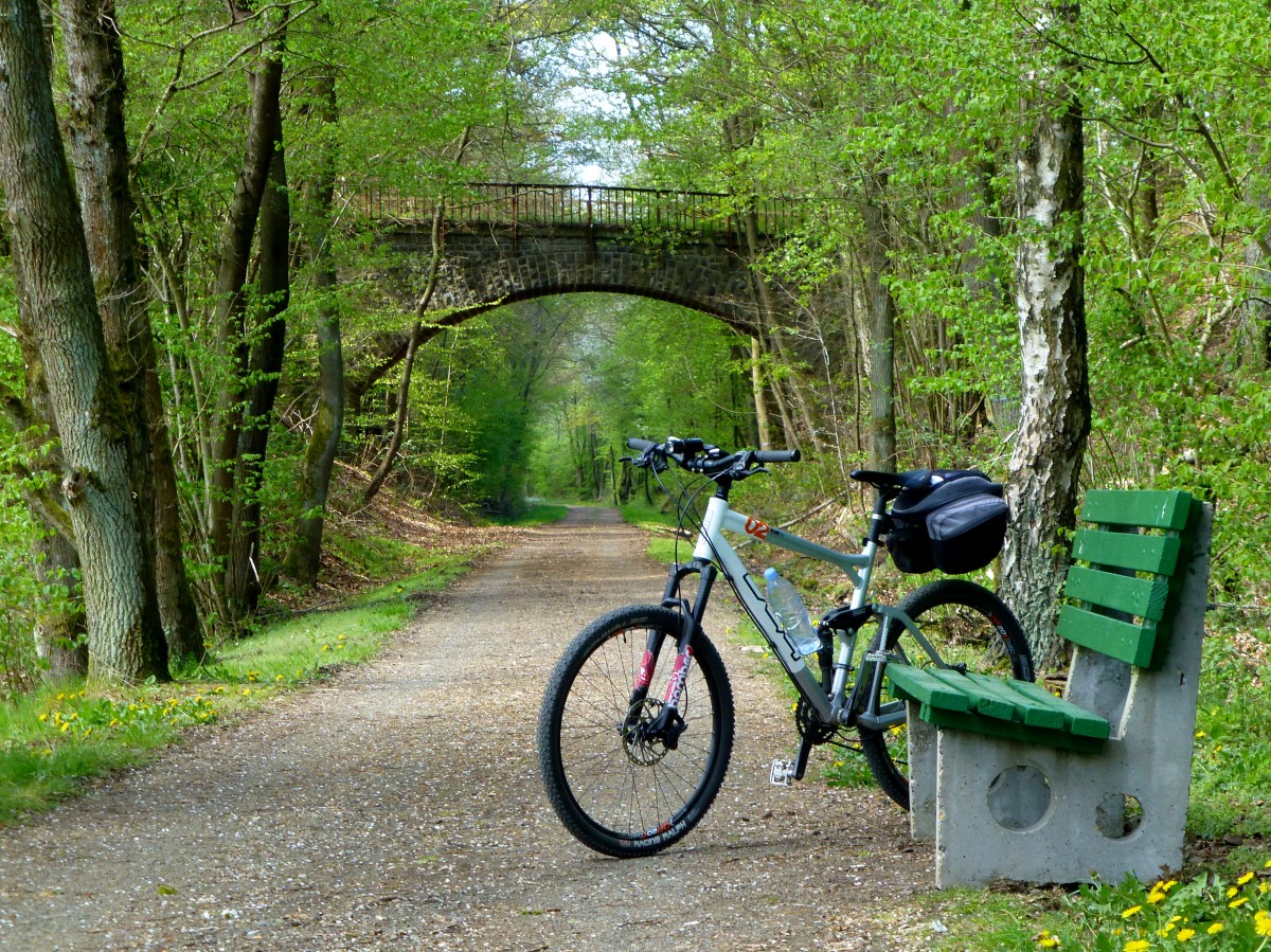 Deutschland, Rheinland-Pfalz, Fritz Wunderlich Radweg, Brcke ber die ehemalige Bahnlinie bei Pfeffelbach im Landkreis Kusel, Mountain Bike des Fotografen. 16.04.2014