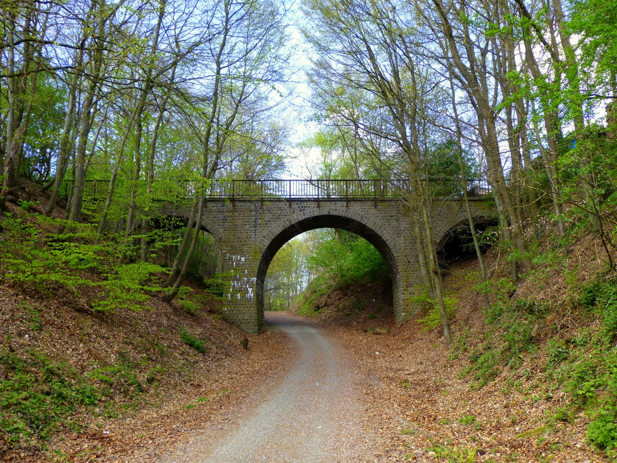 
Deutschland, Rheinland-Pfalz, Fritz Wunderlich Radweg, Brcke ber die ehemalige Bahnlinie bei Pfeffelbach im Landkreis Kusel. 16.04.2014