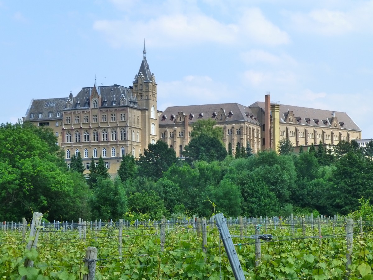 Deutschland, Rheinland-Pfalz, Landkreis Ahrweiler, Ahrweiler, Kloster Calvarienberg. 24.06.2014