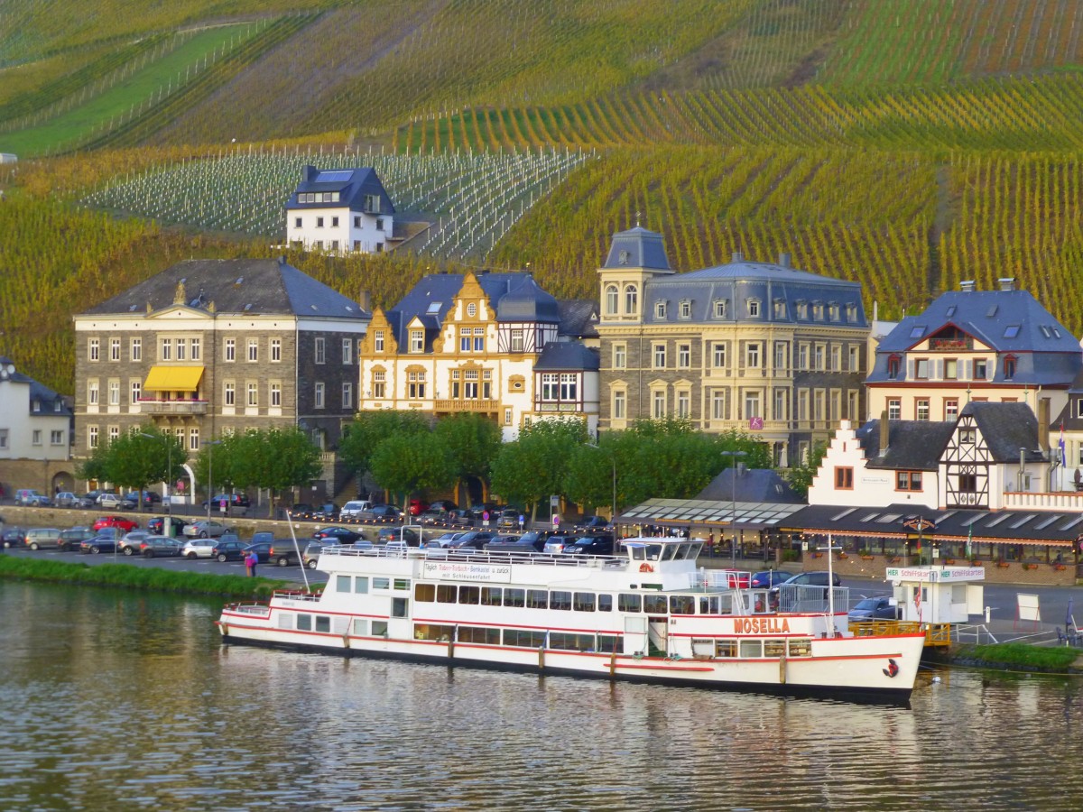 Deutschland, Rheinland-Pfalz, Landkreis Bernkastel-Wittlich, Bernkastel an der Mosel. 31.10.2014