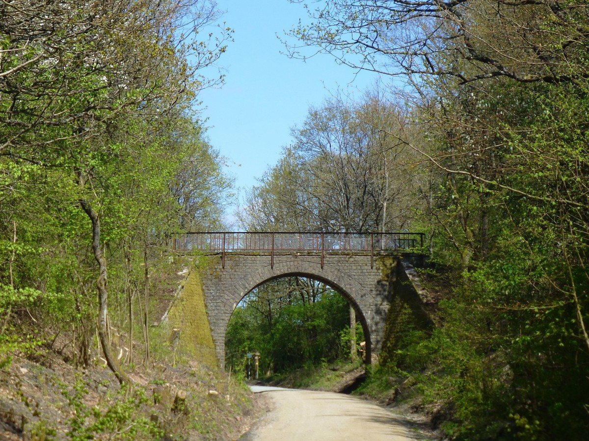 Deutschland, Saarland, Fritz Wunderlich Radweg, Brcke ber die ehemalige Bahnlinie  zwischen Oberkirchen und Freisen im Landkreis St Wendel. 16.04.2014
