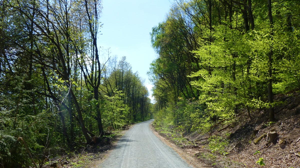 Deutschland, Saarland, Fritz Wunderlich Radweg, Brcke ber die ehemalige Bahnlinie zwischen Oberkirchen und Freisen im Landkreis St Wendel. 16.04.2014