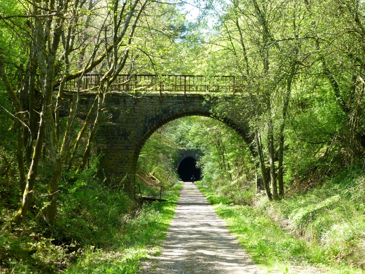 Deutschland, Saarland, Fritz Wunderlich Radweg, Brcke ber die ehemalige Bahnlinie zwischen Schwarzerden und Oberkirchen, gefolgt von einem Tunnel (Lnge: 215m) im Landkreis St Wendel. 16.04.2014