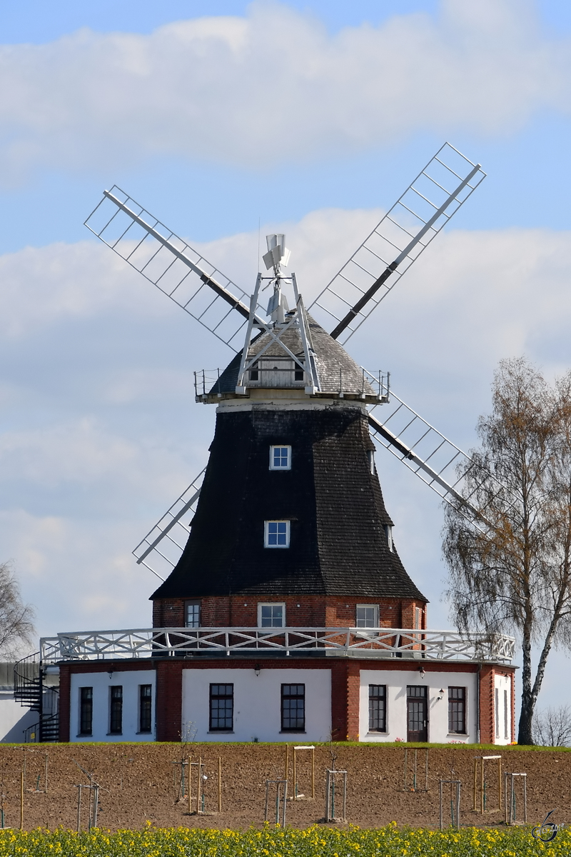 Die von 1902 bis 1904 errichtete Galerieholländerwindmühle steht nördlich des Ortes Klütz. (April 2019)