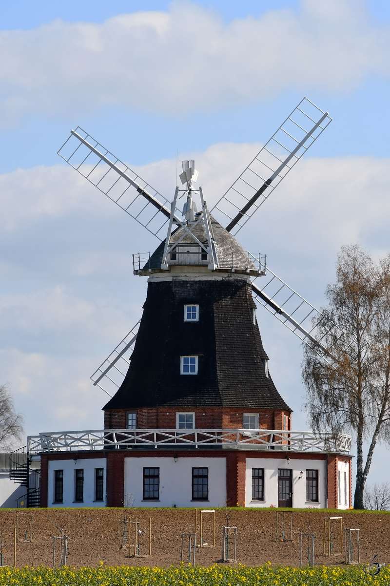 Die von 1902 bis 1904 errichtete Galeriehollnderwindmhle steht nrdlich des Ortes Kltz. (April 2019)