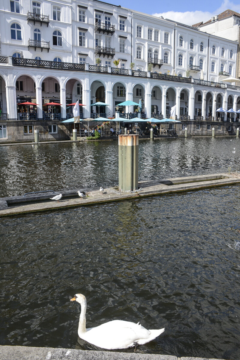 Die Alsterarkaden und der Kleine Alster in Hamburg-Mitte. Aufnahme: 11. August 2026.