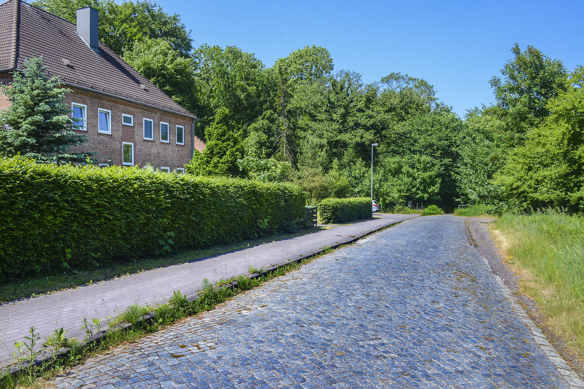 Die alte Zollstrae an der Kupfermhle endet an der dnischen Grenze. Frher war dies ein Grenzbergang, aber heute ist der Durchgang mit Bumen und Struchern zugewachsen. Aufnahme: 11. Juni 2023.