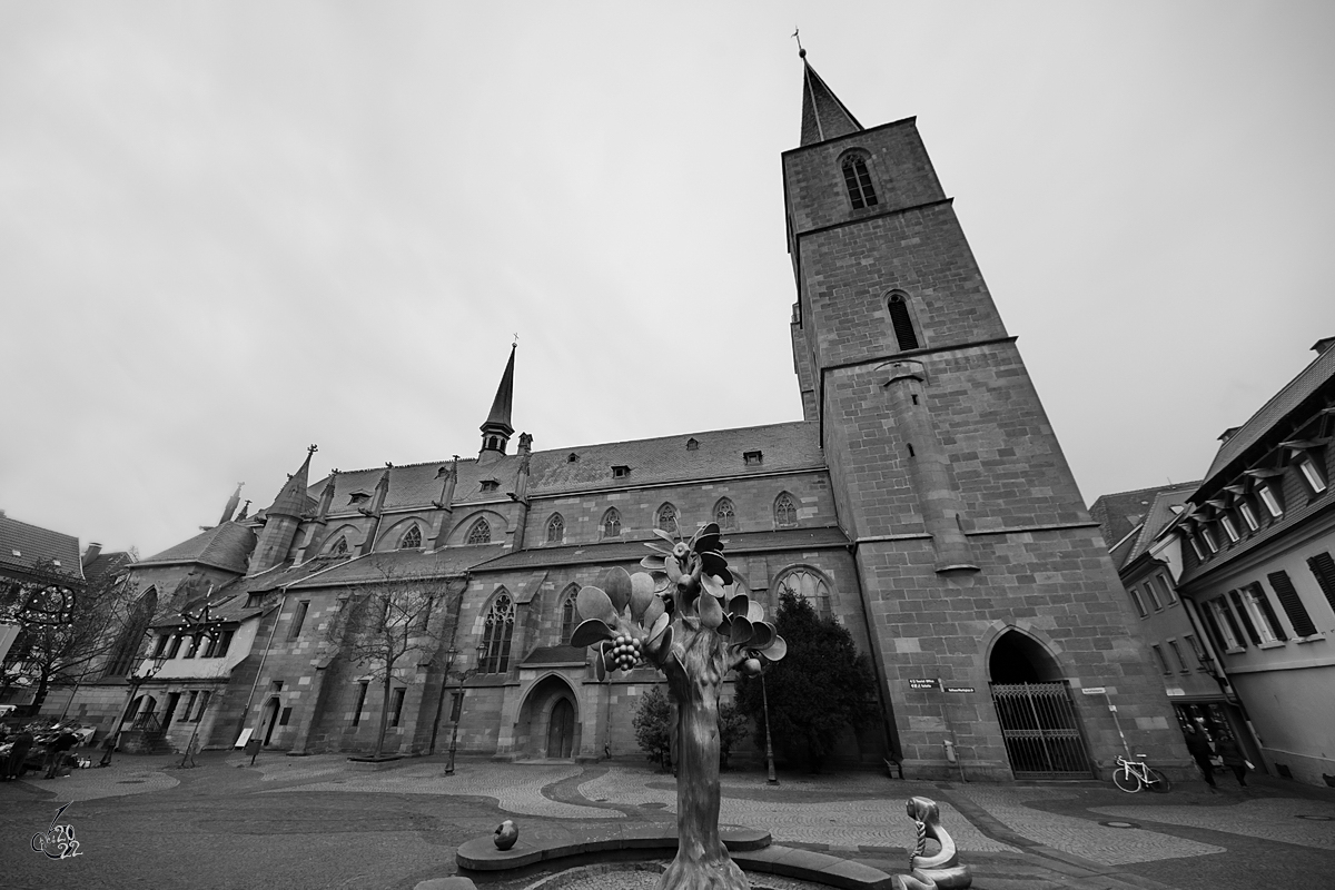 Die aus dem 13. Jahrhundert stammende gotische Stiftskirche St. gidius ist das grte Gotteshaus in Neustadt an der Weinstrae und verfgt durch das nachtrgliche Einfgen einer Trennwand ber einen katholischen und einen protestantischen Teil. (Dezember 2014)
