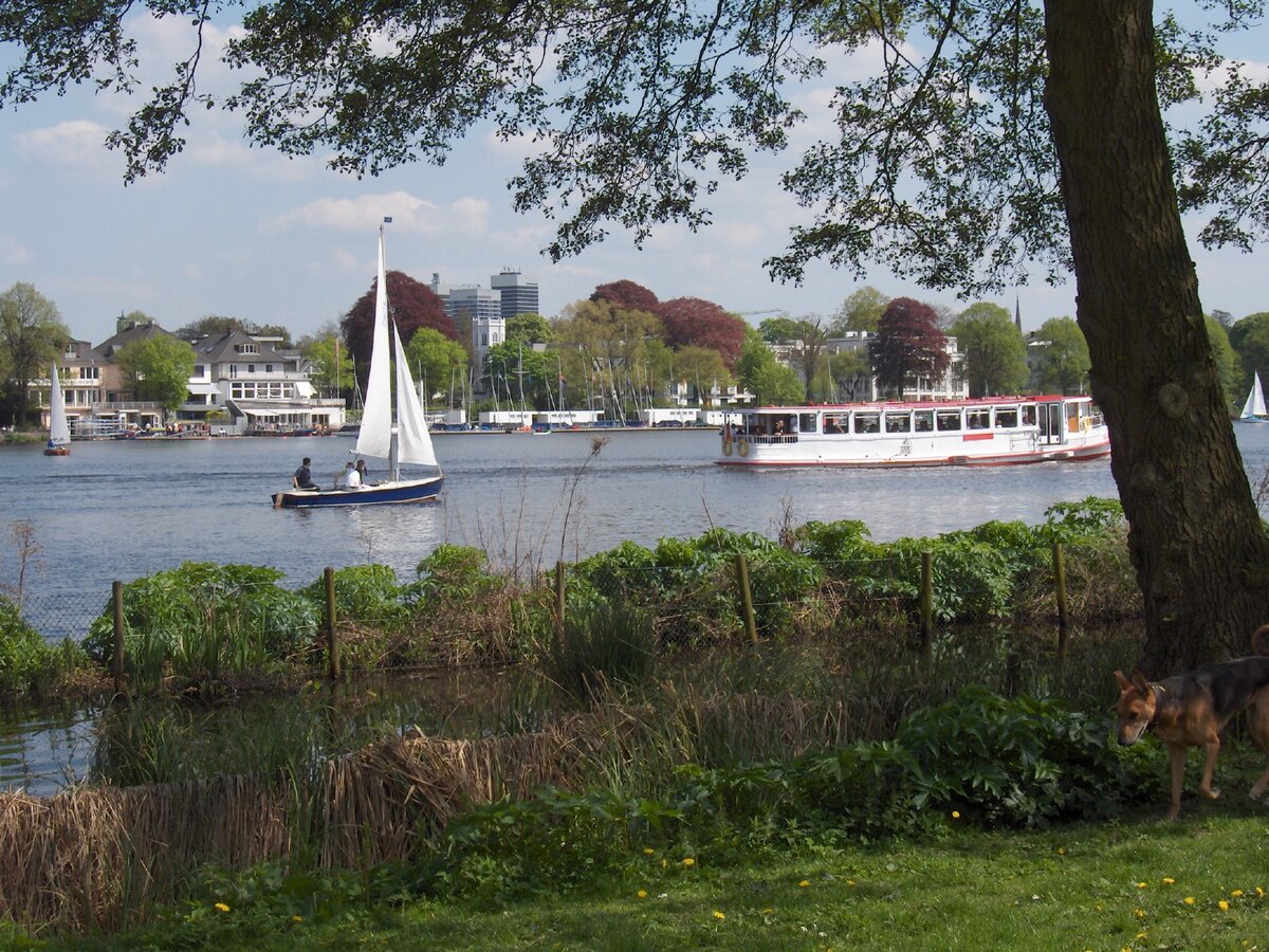 Die Auenalster in Hamburg am 04.05.2008.