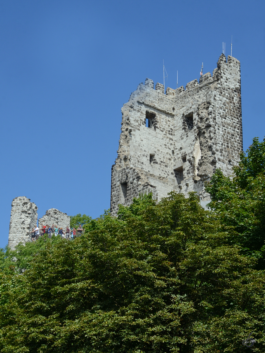 Die Burgruine auf dem Drachenfels im Siebengebirge. (Bad Honnef, August 2012)