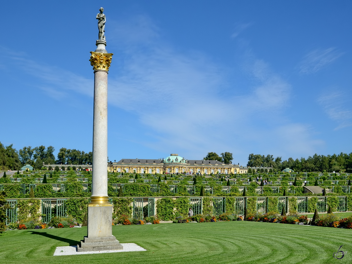 Die dem Bade entstiegene Venus von Medici auf einer Sule, im Rcken die Weinbergterassen und das Schloss im Park Sanssouci. (Potsdam, September 2012)