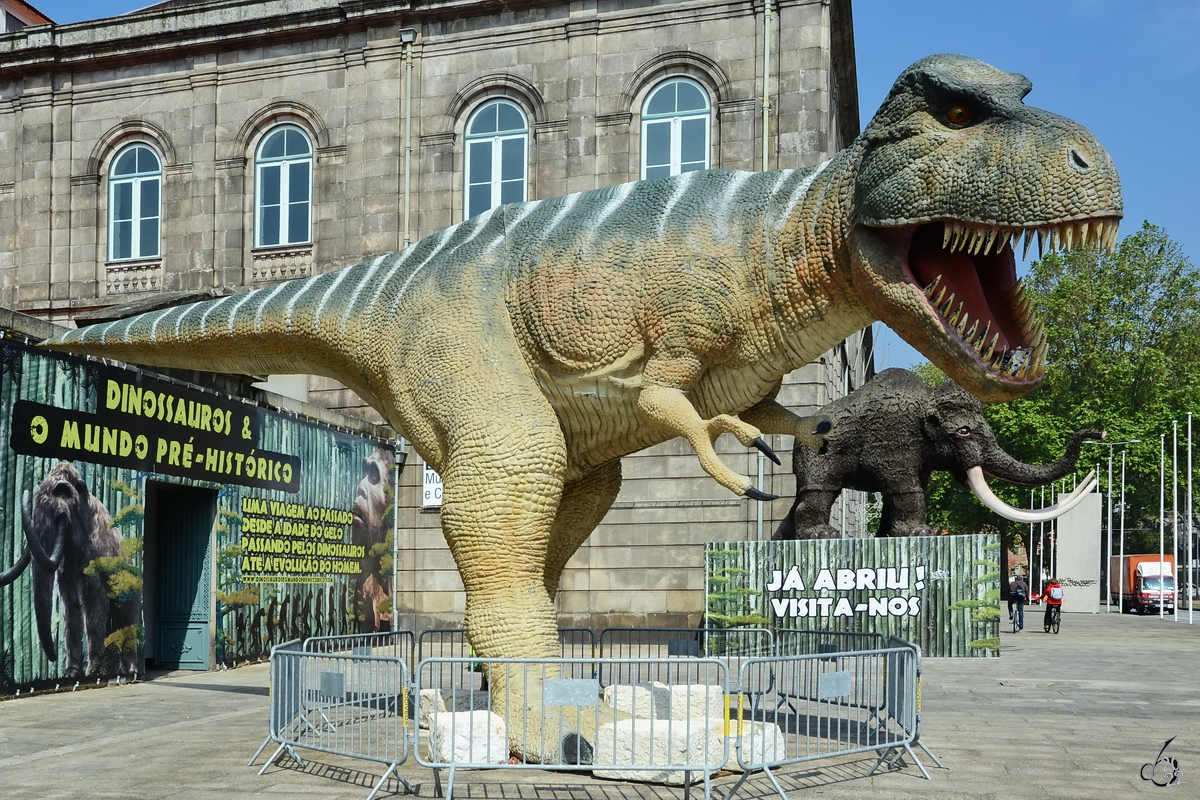 Die Dino´s sind los und laden zu einem Museumsbesuch ein. (Porto, Mai 2013)