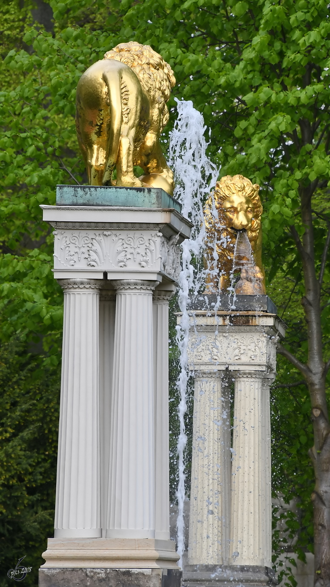 Die eindrucksvolle Lwenfontne im Park Klein-Glienicke. (Berlin, April 2018)