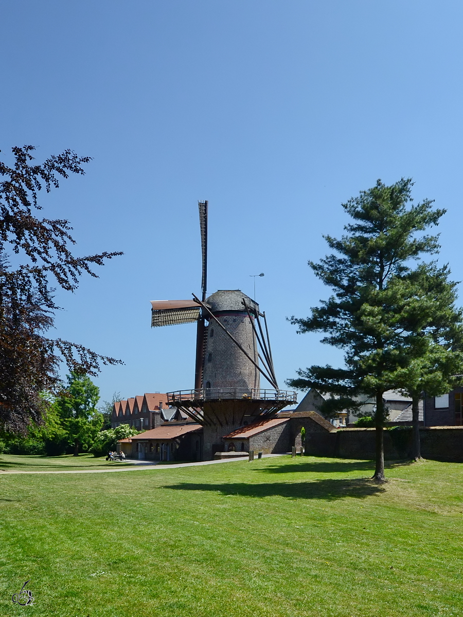 Die Ende des 14. Jahrhunderts erbaute Kriemhildmühle hat seinen Ursprung als Teil der Xantener Stadtbefestigung in Form eines Wach- und Wehrturms. (Mai 2011)