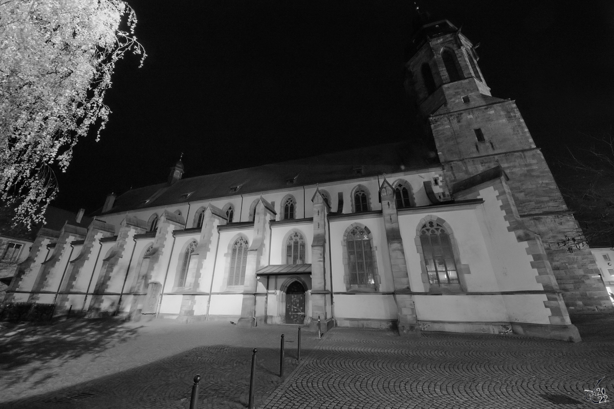 Die evangelische Stiftskirche in der Seitenansicht, so gesehen Anfang Dezember 2014 in Landau.
