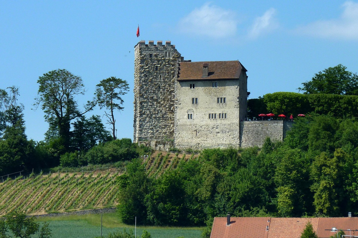 die Habsburg im Kanton Aargau, Blick auf den erhalten gebliebenen Westteil der Anlage, Mai 2011