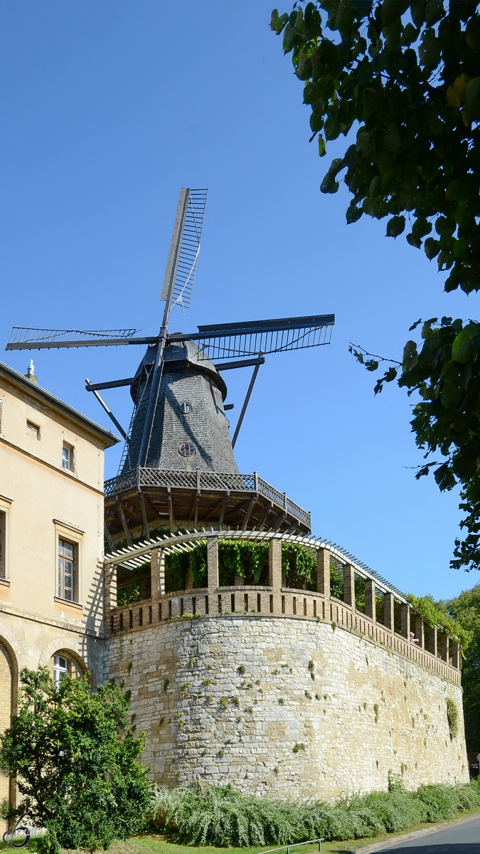 Die historische Galeriehollndermhle, seit 1739 an diesem Standort, wurde mehrfach um- und aufgebaut. (Potsdam, September 2012)