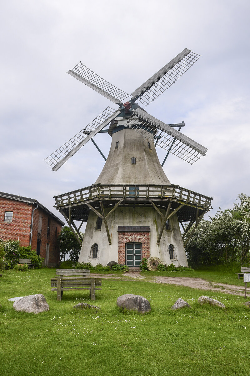 Die Hollndermhle Fortuna im Landschaftsmuseum Angeln in Unewatt (Kreis Schleswig-Flensburg). Aufnahme: 7. Juni 2021.