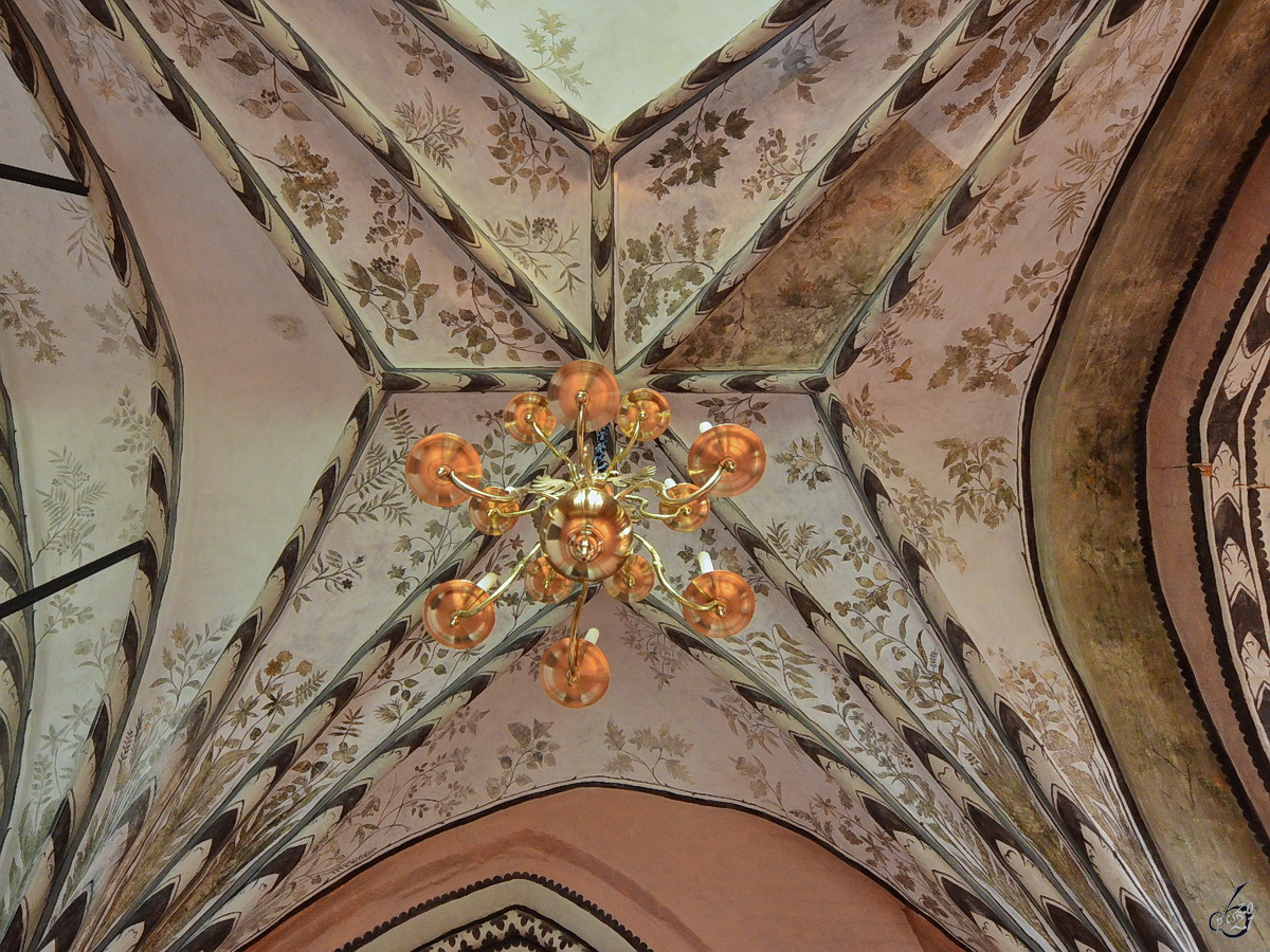 Die Kirchendecke in der St.-Petri-Kirche in Wolgast, so gesehen Mitte August 2013.