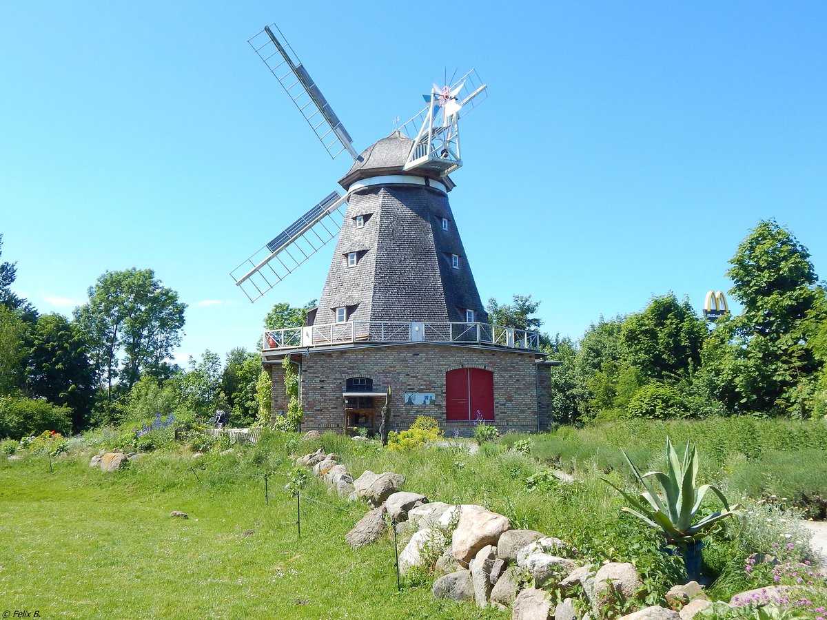 Die Mahnkesche Mühle im sehr schön angelegten Stralsunder Tierpark am 26.05.2018. Ursprünglich stand die Mühle auf der Mahnkeschen Wiese in Stralsund und kam 2012 in den Tierpark und ist somit die letzte historische Mühle der Hansestadt Stralsund.
