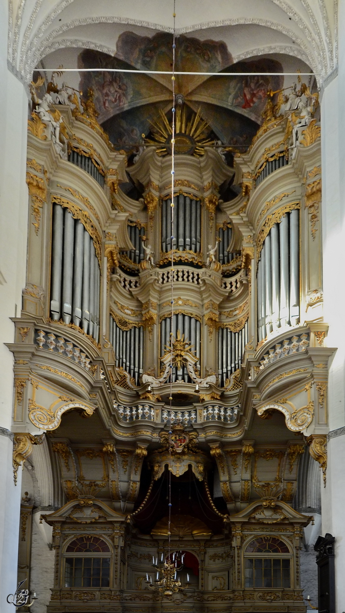 Die Orgel in der Marienkirche in Rostock. (August 2013)