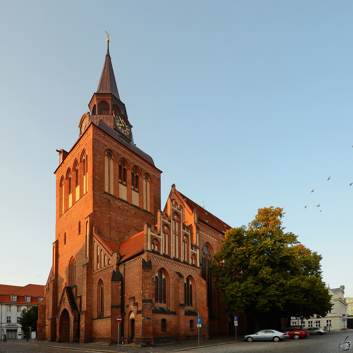 Die Pfarrkirche St. Marien befindet sich im Zentrum von Gstrow. (August 2013)