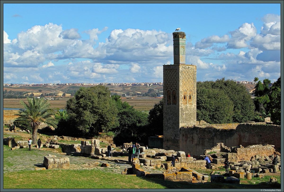 Die Ruinen der Chellah von Rabat befinden sich schön gelegen auf einer Anhöhe im Südosten der marokkanischen Hauptstadt. Gut erhalten ist dieses Minarett einer Moschee mit anschließender Madrasa. Die Ruinen werden von zahlreichen Störchen als Nistplatz genutzt. Davor befinden sich Reste der römischen Siedlung Sala Colonia. (Rabat, 23.11.2015)