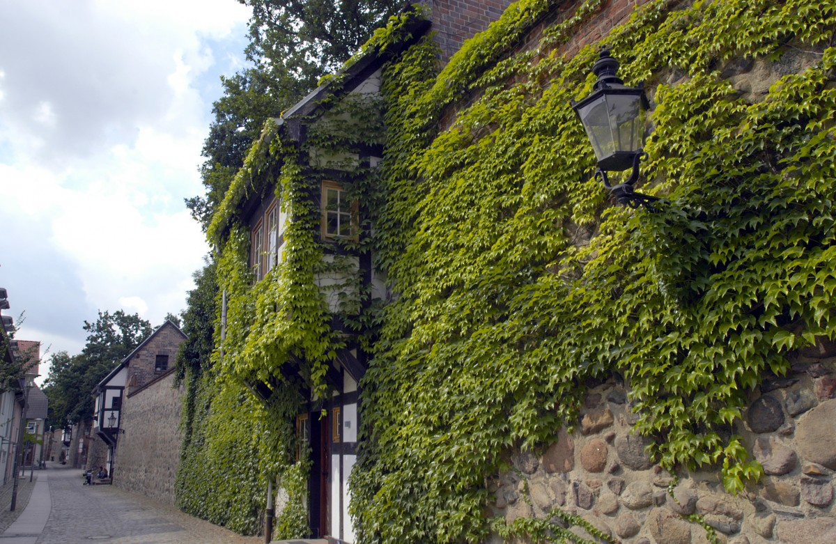 Die Stadtmauer in Neubrandenburg. Aufnahme: Juli 2006.