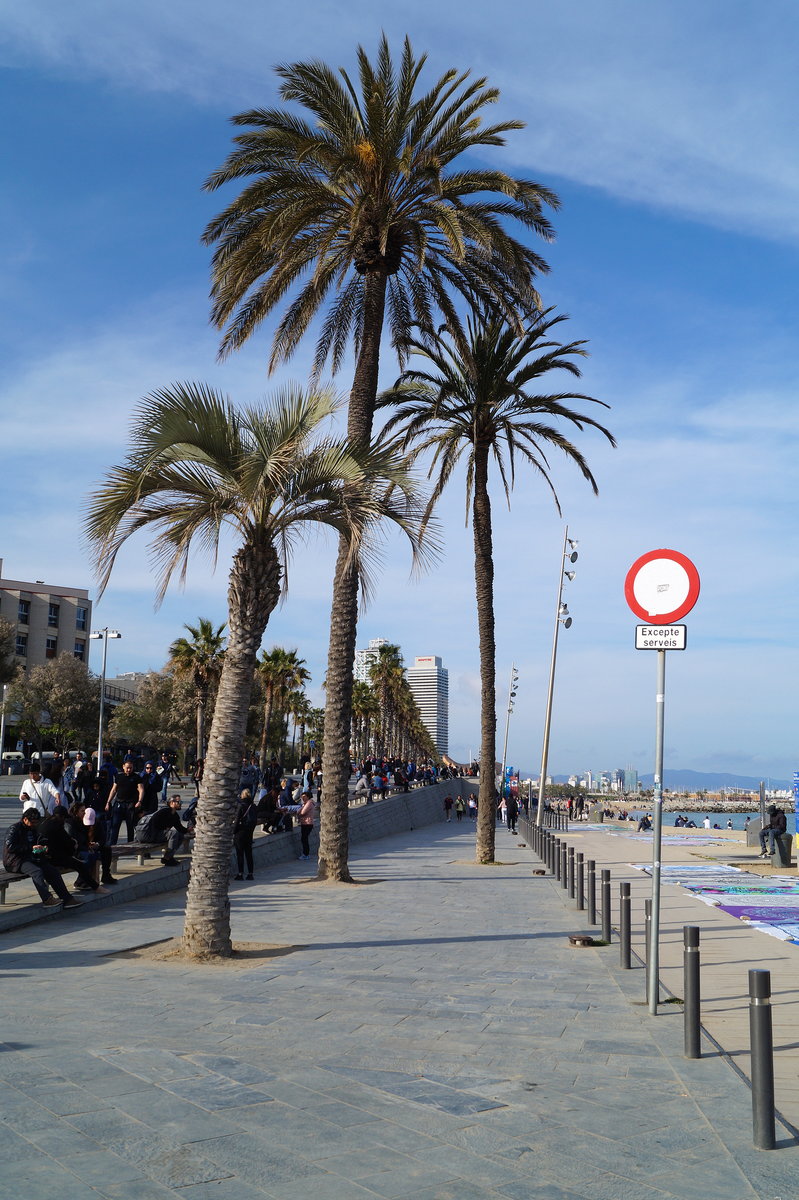 Die Strandpromenade im Stadtteil Barceloneta in Kataloniens Hauptstadt Barcelona, 17.04.2019.