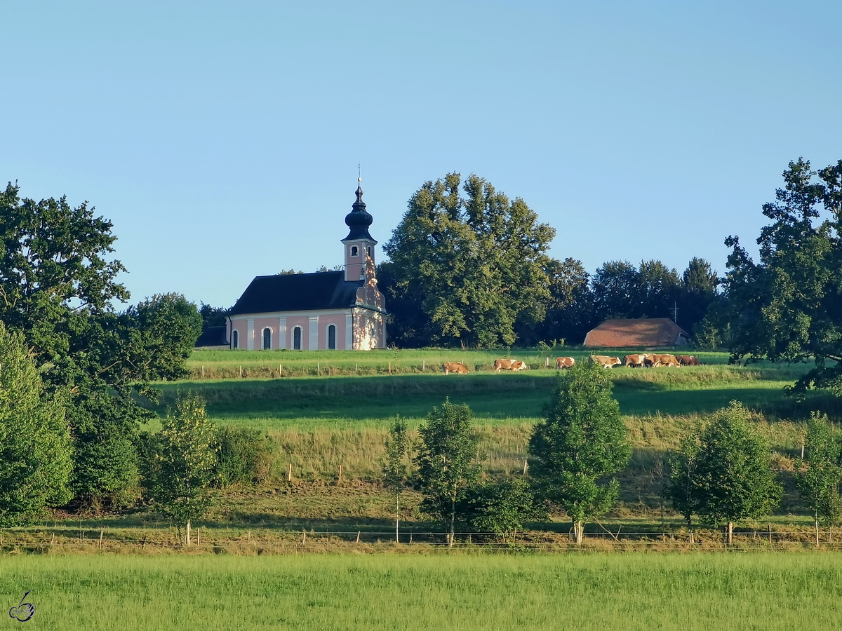 Die zwischen 1712 und 1713 gebaute Wallfahrtskirche Mari Heimsuchung befindet sich oberhalb von Waging am See in Mhlberg. (August 2020)