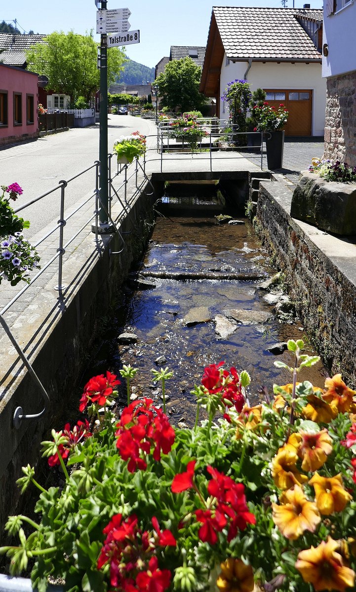 Diersburg,der Riedbach durchfliet den Ort entlang der Talstrae, Juni 2020