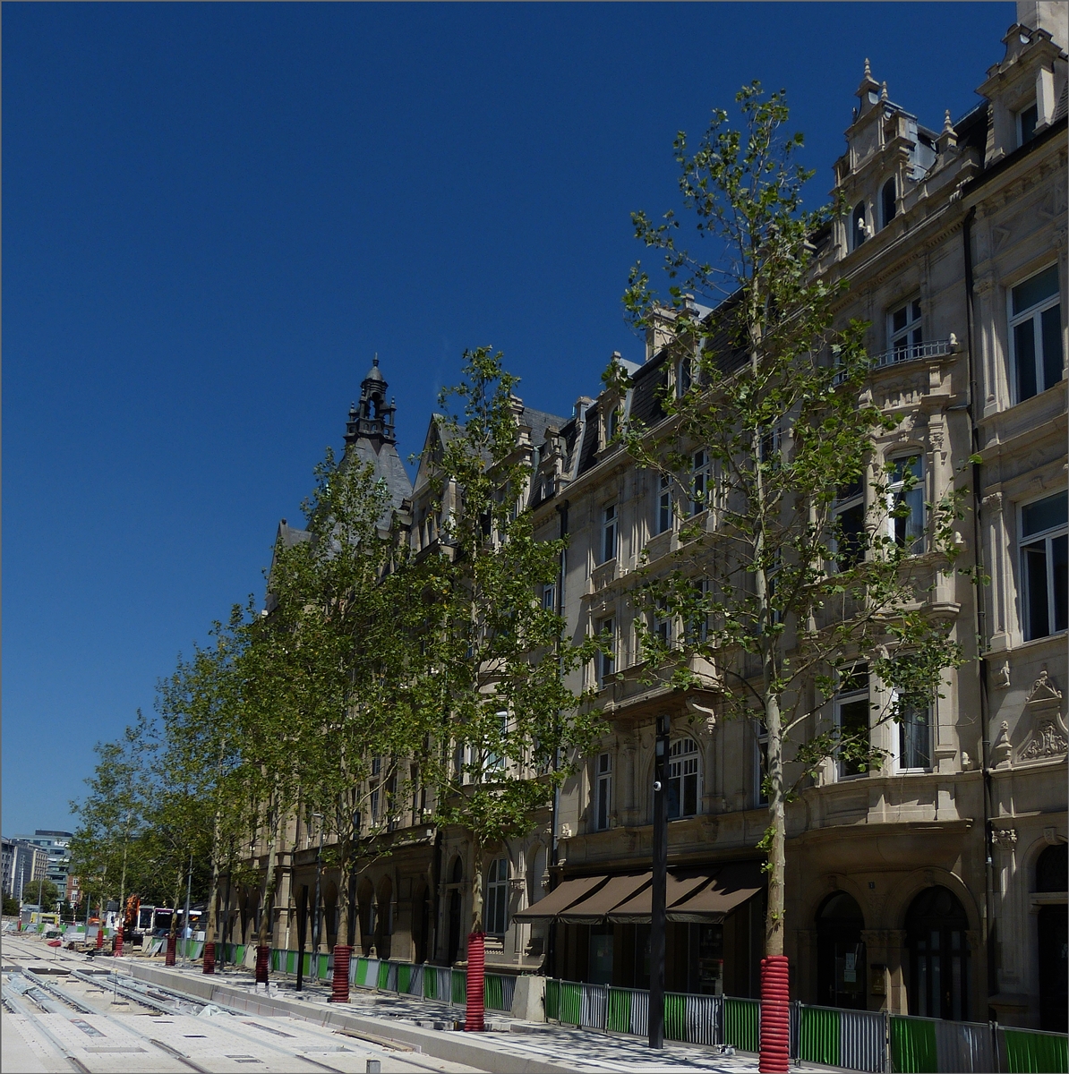 Diese Bäume in der Avenue de la Liberté (Nei Avenue), wurden vor Fertigstellung der Arbeiten an den Straßenbahnschienen neu Angepflanzt. 08.2020 