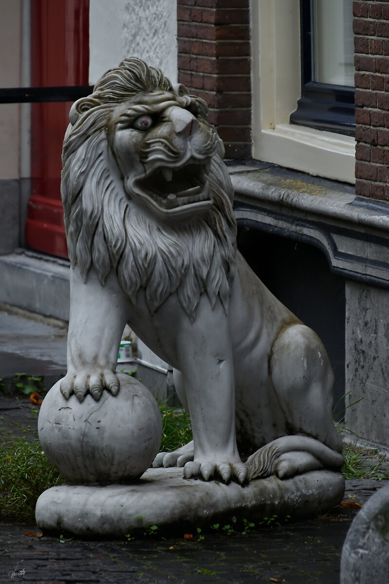 Diese L�wenstatue befand sich neben einem Hauseingang in der Innenstadt von Utrecht. (September 2026)